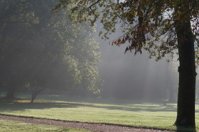 Nel parco i raggi del sole del primo mattino illuminano la nebbiolina mattutina