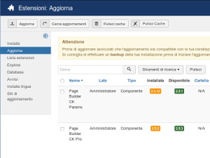 Params è presente negli aggiornamenti di Joomla, anche se è inutile