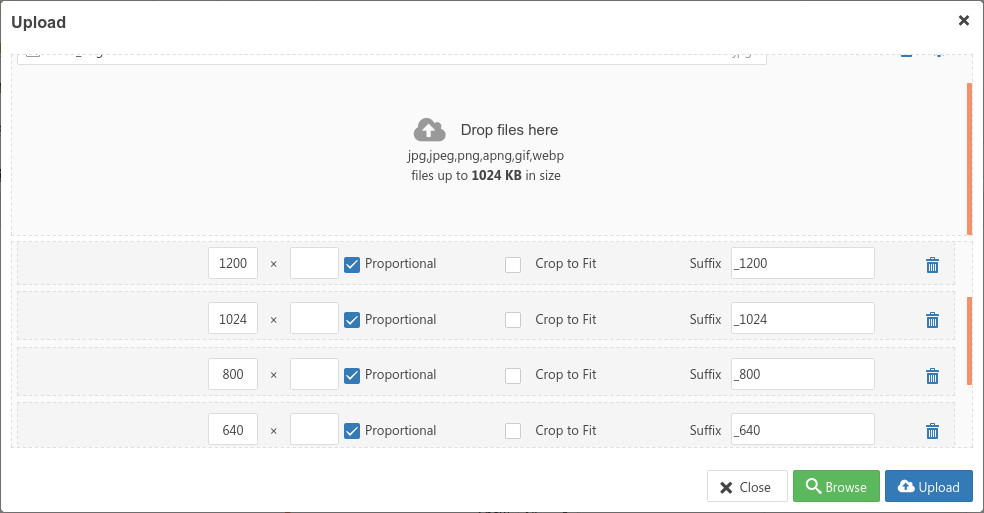 Particolare della finestra Upload: le opzioni per le diverse versioni dell'immagine principale