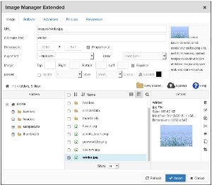 La finestra di Image Manager Extended contiene anche la scheda Responsive