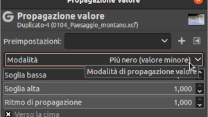 Il pannello Livelli mostra che la modalità di propagazione del valore del livello Duplicato è Più nero