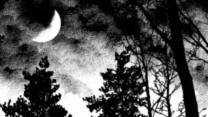Particolare della tavola: la cima di alcuni alberi e la luna nella notta