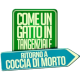 Il logo del film con il titolo